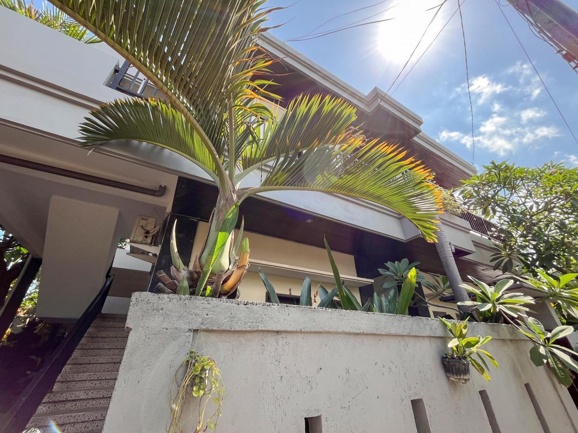 Adi Surya Guest House Seminyak Dış mekan fotoğraf